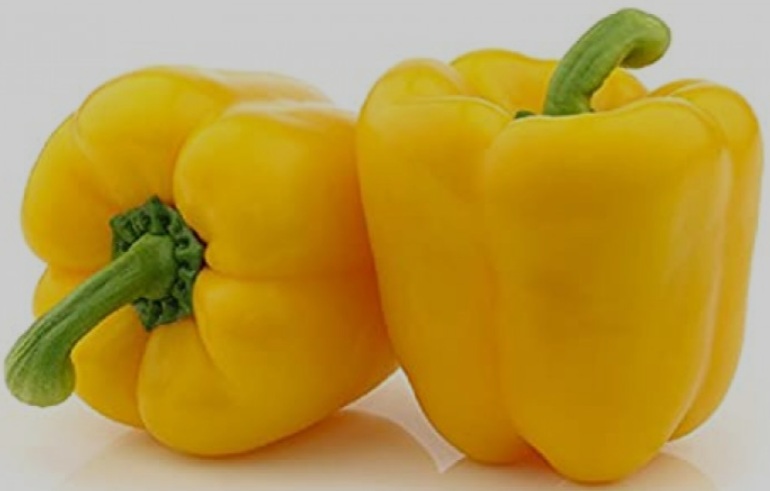 Capsicum Yellow